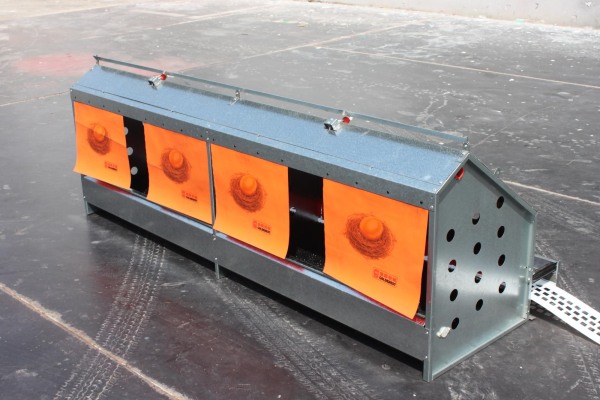 自動集蛋式產(chǎn)蛋箱